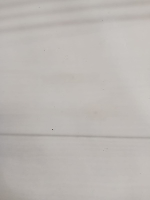 ***ДО 70 Техас, жемчужный, покрытие Soft Touch лот 7048231